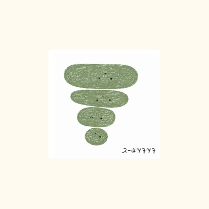 緑のRootの絵柄